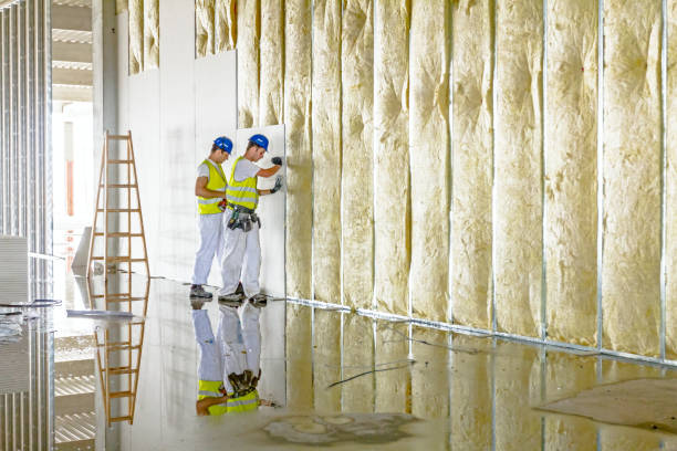 Best Eco-Friendly Insulation in Manorhaven, NY